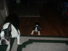 Gomez_s Sassy Witch 045.jpg