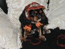 Hollys new hat and scarf 001.jpg
