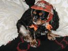 Hollys new hat and scarf 011.jpg