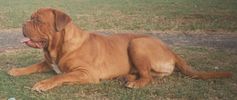 Filename=JD 1.jpg
Filesize=63KiB
Dimensions=858x361
Date added=Jan 10, 2005 JD 1.jpg