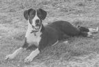 042_42 BW.jpg