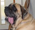 DSC01444.jpg