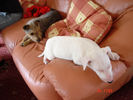 Picture 058.jpg