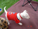 Picture 077.jpg