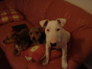 Picture 119.jpg