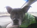 Picture012.jpg