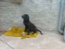 2003_0116Image0060.JPG