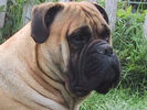 Joe pics 003.jpg