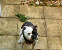 IMG0007.JPG