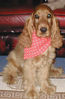 jessie 009.jpg