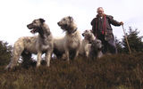 bill and hounds.jpg