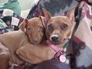 fan and rubygood one!!.JPG