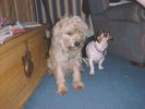 jazz and charlie sat.jpg
