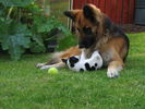 100_0035.JPG