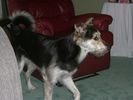 1-DSCF1027-1.JPG