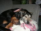 DSCF1157.JPG