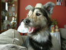 DSCF1563.JPG