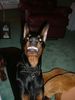 Picture 014.jpg