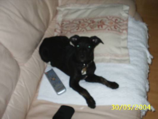normal Picture 029 jpg