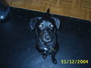 Picture 002.jpg