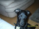 Picture 010.jpg