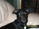 Picture 013.jpg