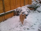snow day 001.jpg