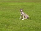 000_0579.jpg