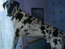 PICT0153.JPG