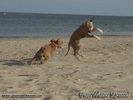 jump!.jpg