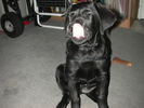 DSCN2012.JPG
