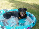 Banks in Pool 001.jpg