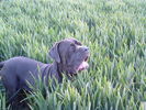 november 2004 friday 26th 017.jpg