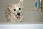 DSCF0011_edited.jpg