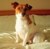 100_4967-1.JPG