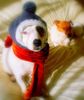 100_5093_0001~0.JPG