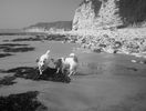 100_5226.jpg