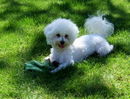 2006_06030003.JPG