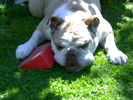 03062006017.jpg