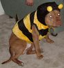 DSCF1166_2.JPG