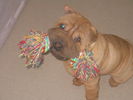 IMG_0687.JPG