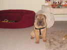 Picture 038.jpg