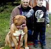 Filename=Dogneo Mastiffs Dogue De Bordeaux.jpg
Filesize=27KiB
Dimensions=246x239
Date added=Mar 10, 2004 Dogneo Mastiffs Dogue De Bordeaux.jpg