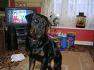 Axle 2 years old.jpg
