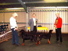 EASTERN COUNTIES ROTTWEILER CLUB SHOW JANUARY 4th 2004.jpg