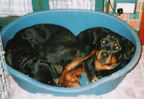Hawkangel - Deana & Todd (in bed).jpg