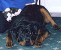 Zac and Anya.jpg