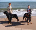 at the beach.jpg