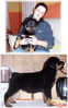 Filename=diesel.jpg
Filesize=33KiB
Dimensions=338x539
Date added=Mar 10, 2004 diesel.jpg