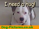 I need a hug!